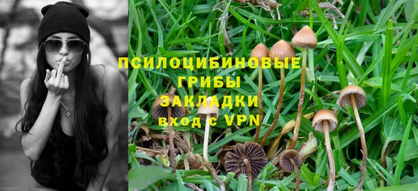 MDMA Premium VHQ Верхний Тагил