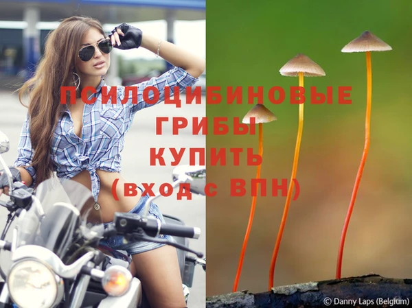 амф Коряжма