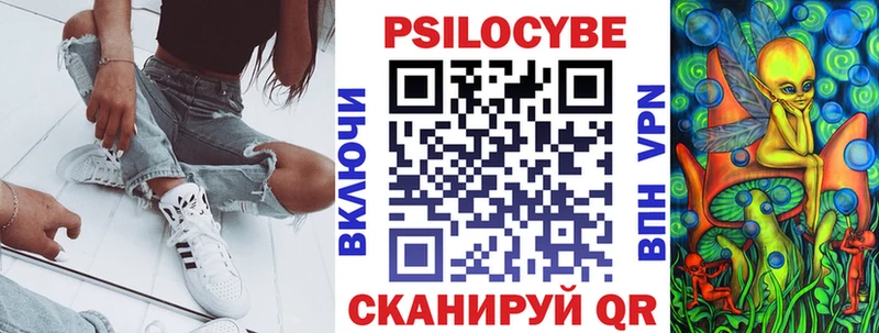 Псилоцибиновые грибы GOLDEN TEACHER  где купить наркоту  Ставрополь 