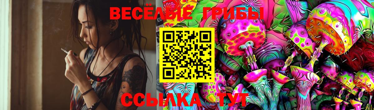 ЭКСТАЗИ  COCAIN  Меф МЯУ МЯУ кристаллы  Вход с VPN  Ставрополь  Каннабис 