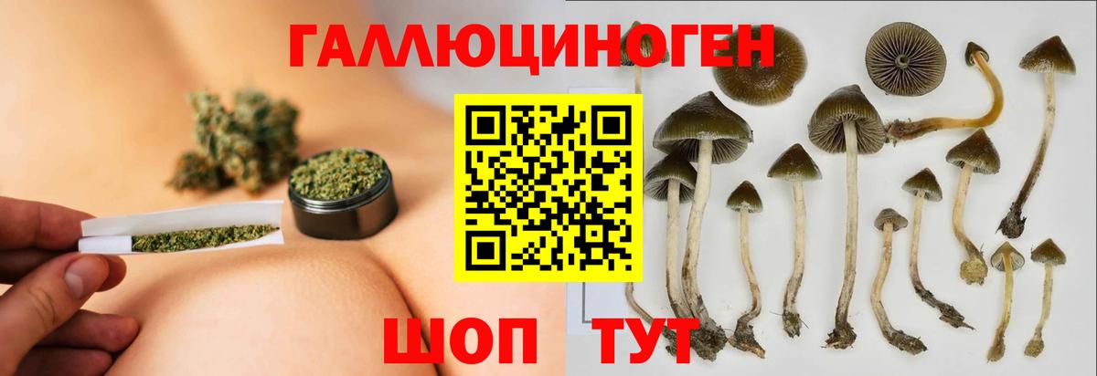 Галлюциногенные грибы Psilocybe  Вход с VPN  Ставрополь 