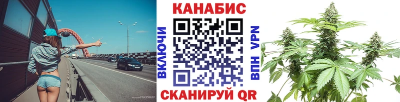 площадка состав  Ставрополь  Марихуана SATIVA & INDICA 